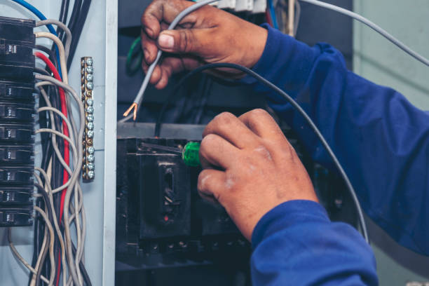 Best Electric Panel Repair  in Des Allemands, LA