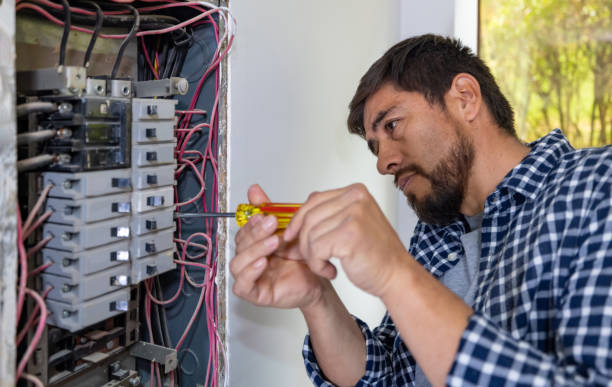 Best Electric Panel Repair  in Des Allemands, LA